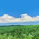 Natural landscape wallpaper  screen for extension Chrome web store in OffiDocs Chromium