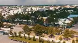 Free download Natural Scenery Tree -  free video to be edited with OpenShot online video editor