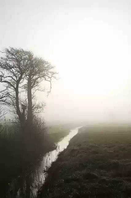 Free download Natural Streams Wood -  free photo or picture to be edited with GIMP online image editor