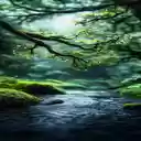 Natural stream wallpaper  screen for extension Chrome web store in OffiDocs Chromium