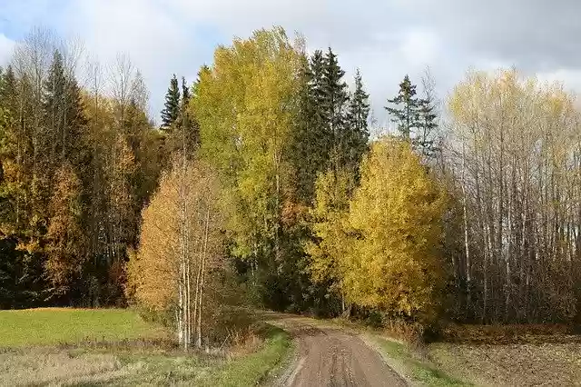 Free download Nature Autumn Fall Colors -  free photo or picture to be edited with GIMP online image editor