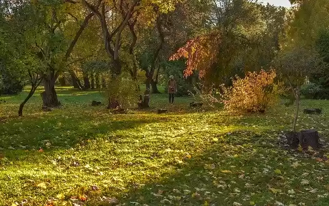 Free download Nature Autumn Landscape -  free free photo or picture to be edited with GIMP online image editor