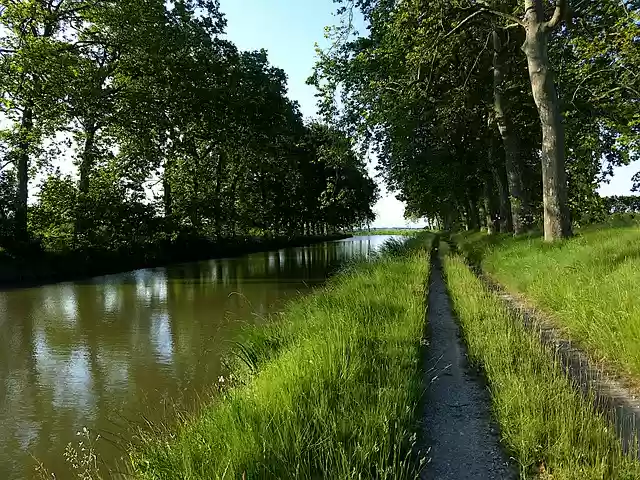 Free download nature canal du midi trees herbs free picture to be edited with GIMP free online image editor