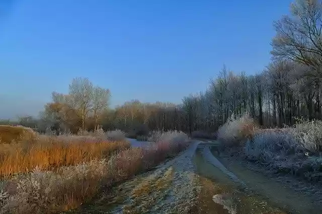 Free download Nature Country Path -  free photo or picture to be edited with GIMP online image editor