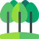 Nature Extension  screen for extension Chrome web store in OffiDocs Chromium