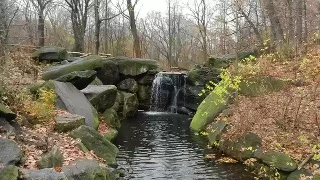 Nature Fall  screen for extension Chrome web store in OffiDocs Chromium
