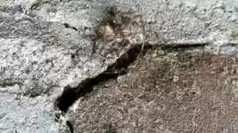 Free download Nature Fauna Insects -  free video to be edited with OpenShot online video editor