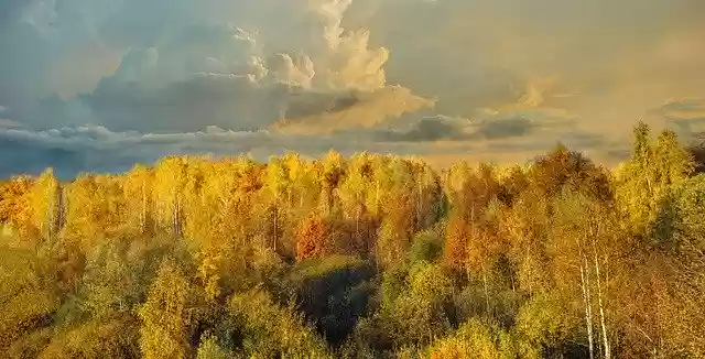 Free download Nature Landscape Fantasy -  free free photo or picture to be edited with GIMP online image editor