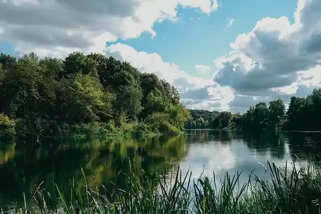 Free download nature landscape river water trees free picture to be edited with GIMP free online image editor