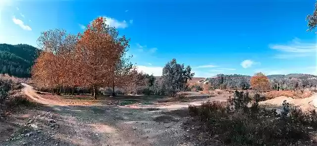 Free download Nature Leaves Plant Current -  free free photo or picture to be edited with GIMP online image editor