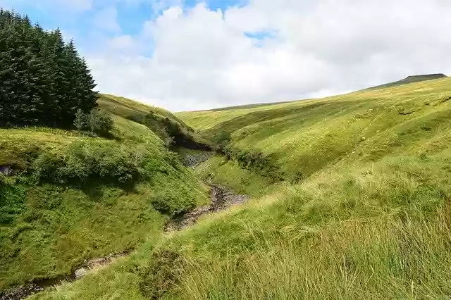 Bezpłatne pobieranie bezpłatnego szablonu zdjęć Nature Meadow Summer do edycji za pomocą internetowego edytora obrazów GIMP