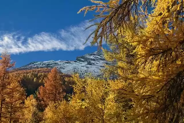 Free download nature mountain alps autumn season free picture to be edited with GIMP free online image editor
