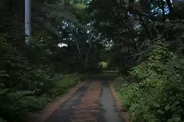 Free download Nature Ominous Outdoors -  free photo or picture to be edited with GIMP online image editor