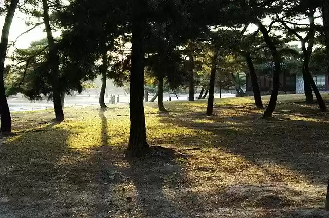 Free download Nature Palace Korea -  free photo or picture to be edited with GIMP online image editor