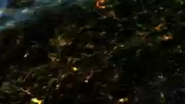 Free download Nature River Water -  free photo or picture to be edited with GIMP online image editor