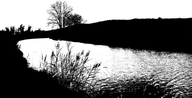 Free download Nature Silhouette Channel The -  free illustration to be edited with GIMP free online image editor