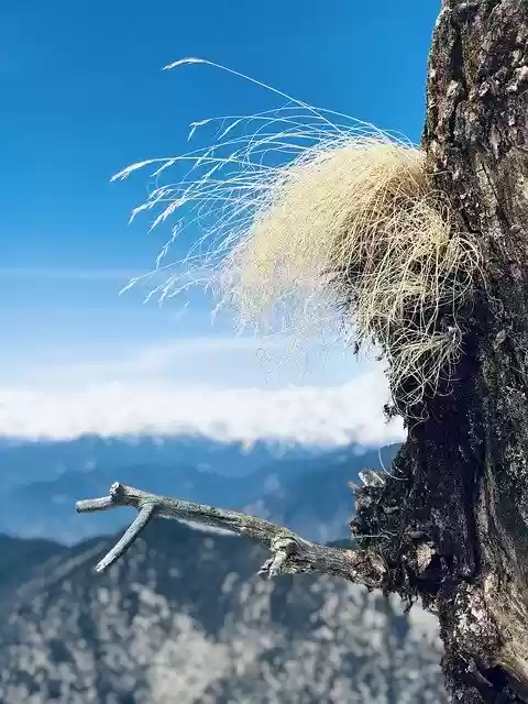 Free download Nature Sky Landscape -  free photo or picture to be edited with GIMP online image editor