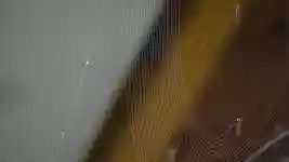 Free download Nature Spider Web -  free video to be edited with OpenShot online video editor