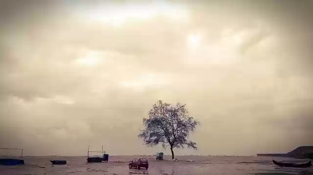 Free download Nature Tree Landscape -  free photo or picture to be edited with GIMP online image editor