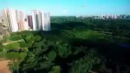 Free download Nature Trees Fly -  free video to be edited with OpenShot online video editor