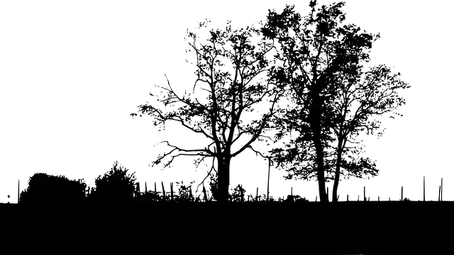 Free download Nature Trees Landscape -  free illustration to be edited with GIMP free online image editor