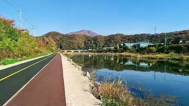 Free download Nature Walk Forest -  free free photo or picture to be edited with GIMP online image editor