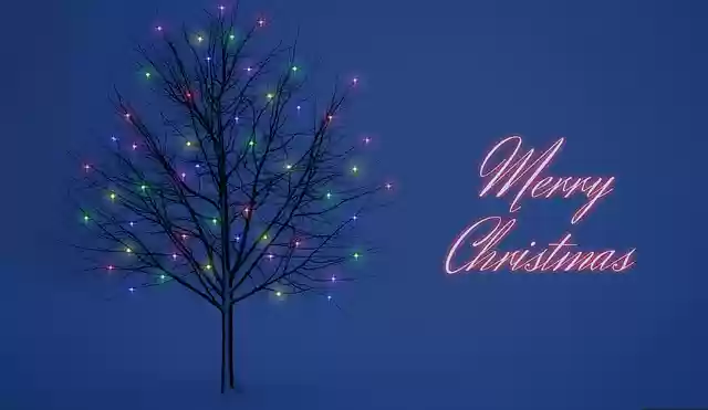 Free download nature wallpaper festive season free picture to be edited with GIMP free online image editor