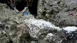 Free download Nature Work Group free video to be edited with OpenShot online video editor