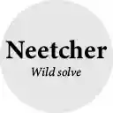 NeetCode Witcher 3 Sounds  screen for extension Chrome web store in OffiDocs Chromium