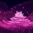 Neon Flower  screen for extension Chrome web store in OffiDocs Chromium