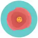 Nerosa  screen for extension Chrome web store in OffiDocs Chromium