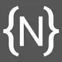 NetSuite Record JSON Viewer  screen for extension Chrome web store in OffiDocs Chromium