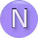 NetSuite Role Helper  screen for extension Chrome web store in OffiDocs Chromium