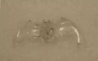 Free download Netsuke of Bat free photo or picture to be edited with GIMP online image editor