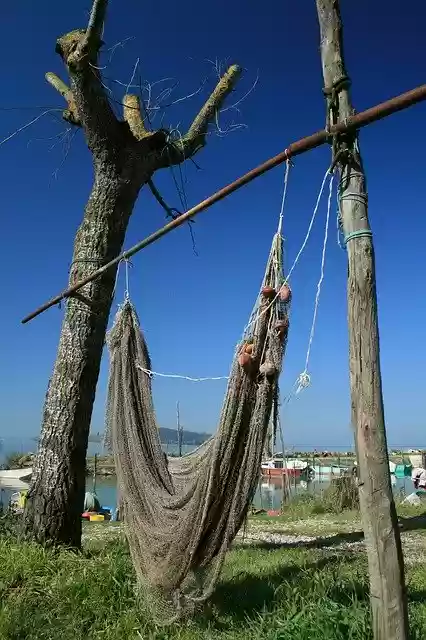 Free download Network Fishing Tree -  free free photo or picture to be edited with GIMP online image editor