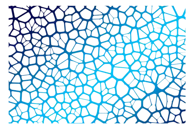 Free download Network Social Neurons Brain -  free illustration to be edited with GIMP free online image editor