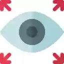 NetX wrapped  screen for extension Chrome web store in OffiDocs Chromium