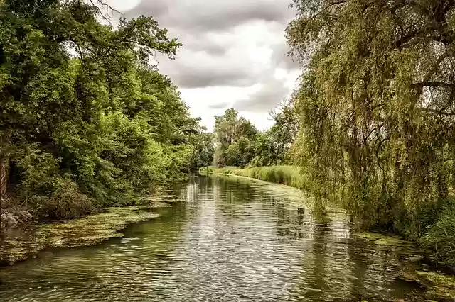 Free download neuburg am rhein green hdr free picture to be edited with GIMP free online image editor