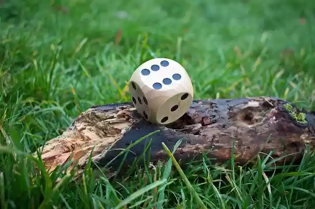 Free download New And Old Cube Grass -  free free photo or picture to be edited with GIMP online image editor