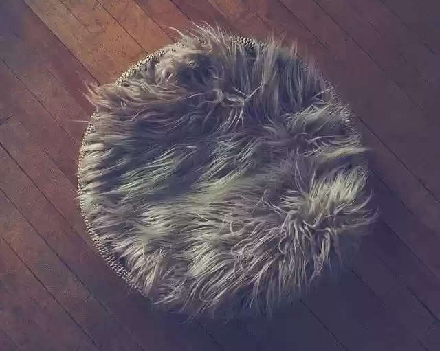 Free download Newborn Bed Nest -  free photo or picture to be edited with GIMP online image editor