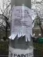 Free download New dog walker free photo or picture to be edited with GIMP online image editor