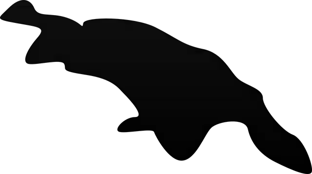 Free download New Guinea Map World - Free vector graphic on Pixabay free illustration to be edited with GIMP free online image editor