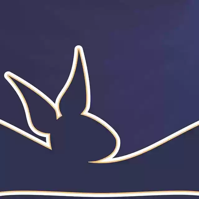 Free download New Year 2020 Greeting Card Give -  free illustration to be edited with GIMP online image editor