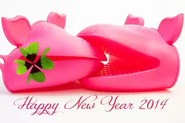 Free download New YearS Day 2014 Pigs PigS -  free illustration to be edited with GIMP free online image editor