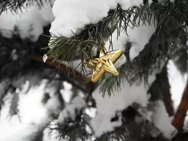 Free download New YearS Eve Holiday Winter -  free free photo or picture to be edited with GIMP online image editor