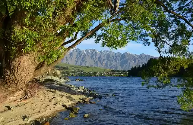 Free download new zealand lake wakatipu tree free picture to be edited with GIMP free online image editor