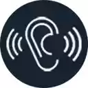 Nghe lenh  screen for extension Chrome web store in OffiDocs Chromium