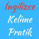 İngilizce Türkçe Kelime Pratik  screen for extension Chrome web store in OffiDocs Chromium