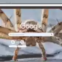 Nhen  screen for extension Chrome web store in OffiDocs Chromium