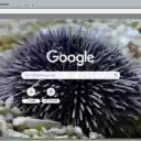 Nhim Bien  screen for extension Chrome web store in OffiDocs Chromium